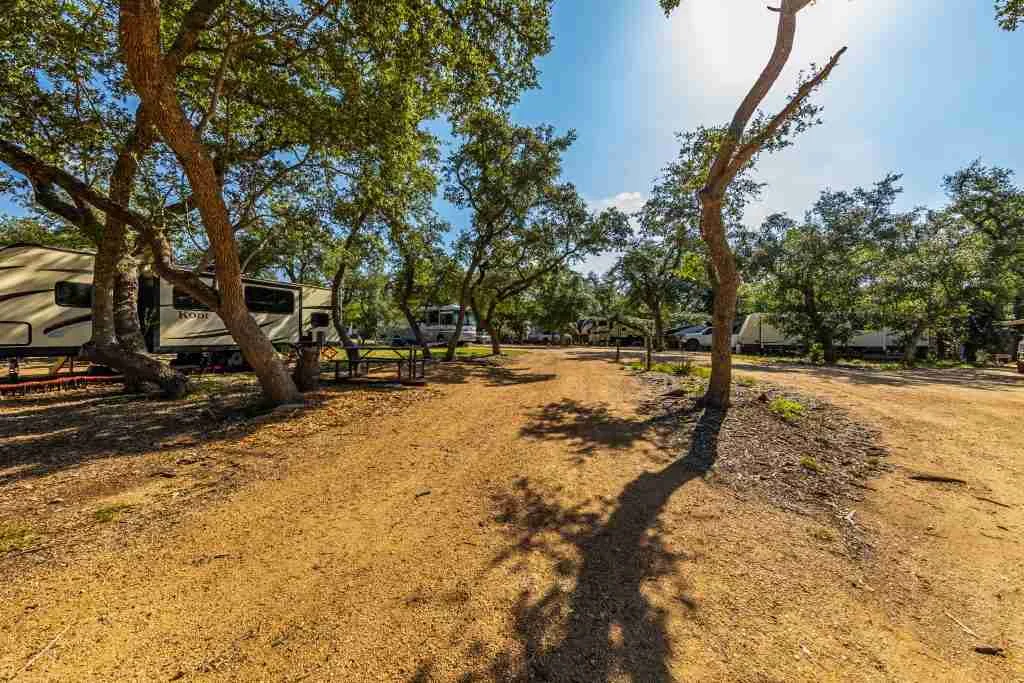Open ground and shade trees beside RV sites